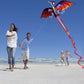 3D Dragon Kite Pterosaur | 100m Line Lifelike Kids Outdoor Beach Toy