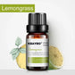 6 Essential Oils Aromatherapy Set | Pure Scents for Diffuser & Spa