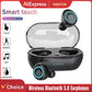 Wireless Bluetooth 5.0 Earphones | 9D Stereo Waterproof Sport Earbuds