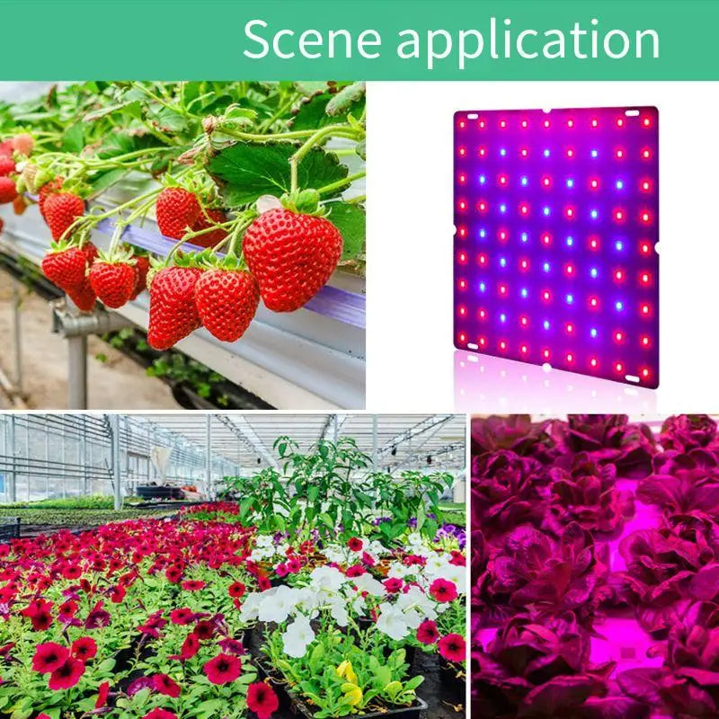 Full Spectrum LED Grow Light - Ultra-Thin Indoor Plant Lamp