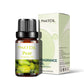 10ml Fruity Fragrance Oil - Refreshing Aromatherapy Aroma Oil