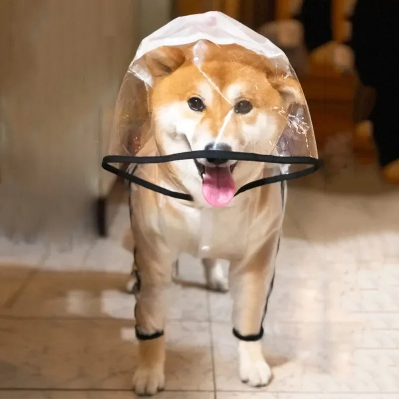 Transparent Dog Raincoat Jumpsuit - Full Body Waterproof Jacket