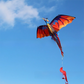 3D Dragon Kite Pterosaur | 100m Line Lifelike Kids Outdoor Beach Toy
