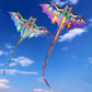 Large Dragon Kite for Kids | Delta Nylon Fabric Outdoor Wind Toy Set