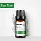 6 Essential Oils Aromatherapy Set | Pure Scents for Diffuser & Spa