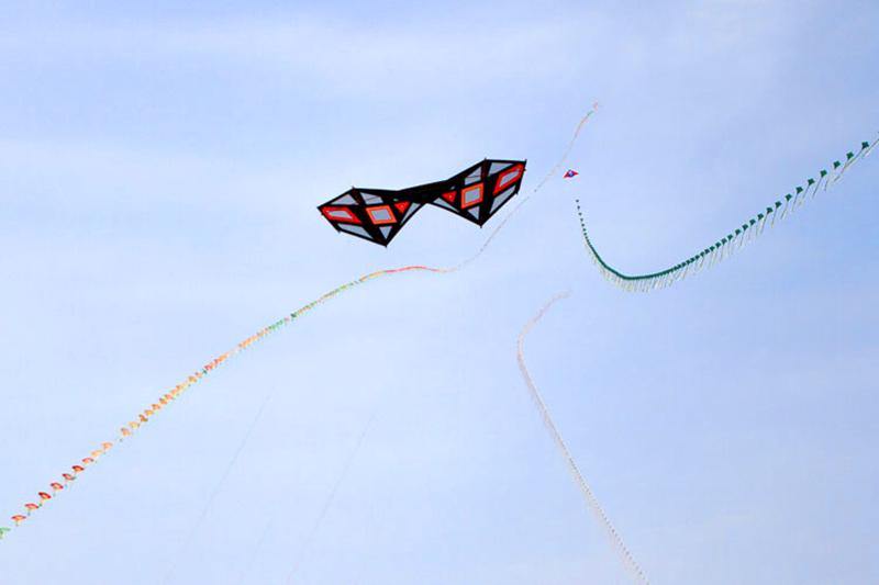 2.4m Strong Wind Quad Line Stunt Kite with Handle Line - Buy Confidently with Smart Sales Australia