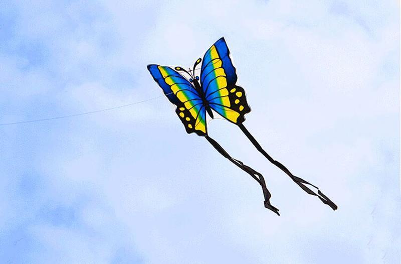 Big Colorful Butterfly Kite For Kids And Adults Outdoor Sports - Buy Confidently with Smart Sales Australia