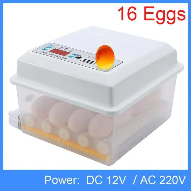 Chick Hatchery Automatic Incubation Poultry Equipment - Buy Confidently with Smart Sales Australia