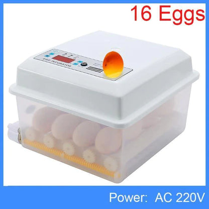 Chick Hatchery Automatic Incubation Poultry Equipment - Buy Confidently with Smart Sales Australia