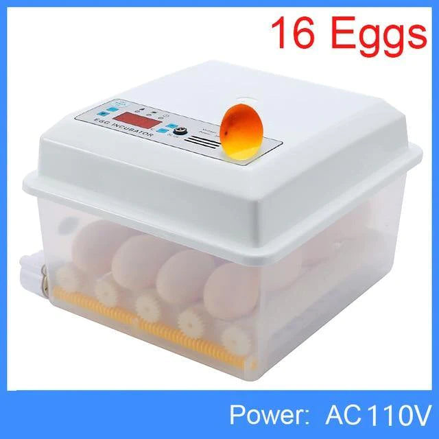 Chick Hatchery Automatic Incubation Poultry Equipment - Buy Confidently with Smart Sales Australia