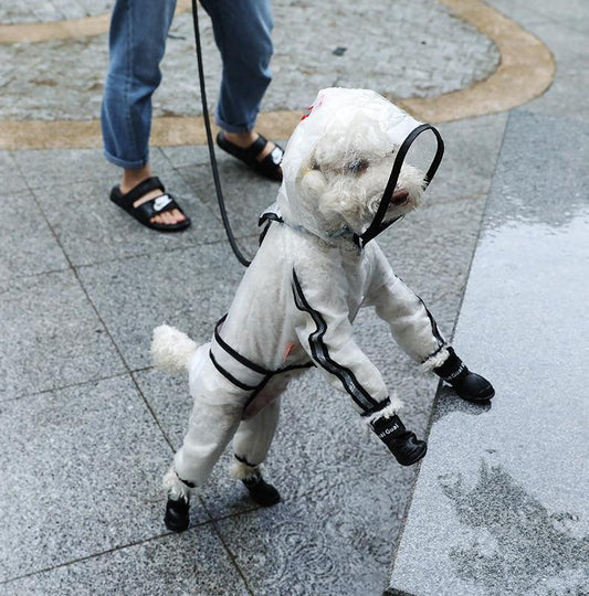 Clear Waterproof Raincoat for Pet Dogs - Buy Confidently with Smart Sales Australia