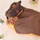 Detachable and Washable Pet Nest with Pillow and Blanket - Buy Confidently with Smart Sales Australia