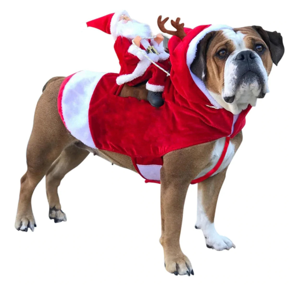 Dog Christmas Costume with Ride-On Santa Claus - Buy Confidently with Smart Sales Australia