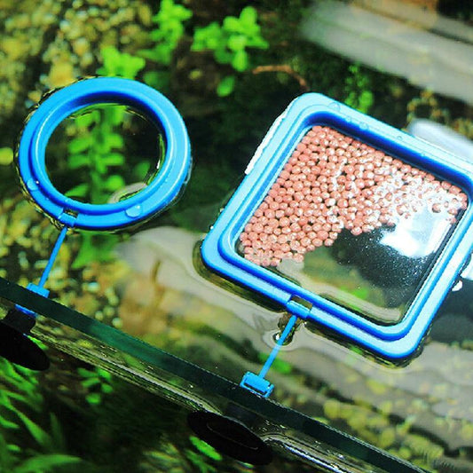 Fish Feeding Ring Floating Station with a Suction Cup For Fish Tanks/Aquariums - Buy Confidently with Smart Sales Australia