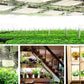 Full Spectrum LED Grow Lamp For Indoor Vegetable and Flowering Plants - Buy Confidently with Smart Sales Australia
