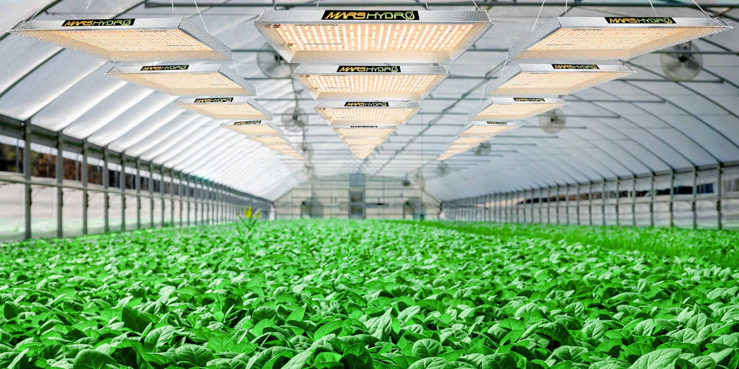 Full Spectrum LED Indoor Grow Lights For Hydroponics with an Adjustable Brightness - Buy Confidently with Smart Sales Australia