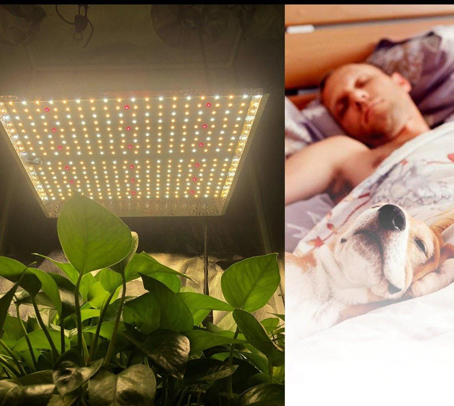 Full Spectrum LED Indoor Grow Lights For Hydroponics with an Adjustable Brightness - Buy Confidently with Smart Sales Australia