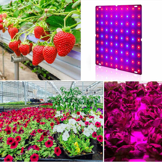 High Efficiency LED Full Spectrum Grow Light For Indoor Hydroponic Plants - Buy Confidently with Smart Sales Australia