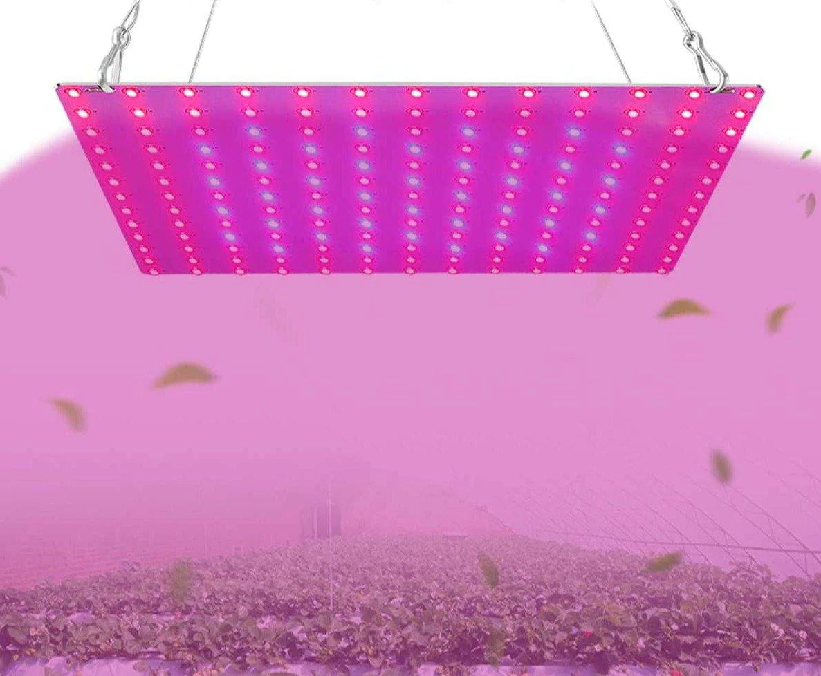 High Efficiency LED Full Spectrum Grow Light For Indoor Hydroponic Plants - Buy Confidently with Smart Sales Australia