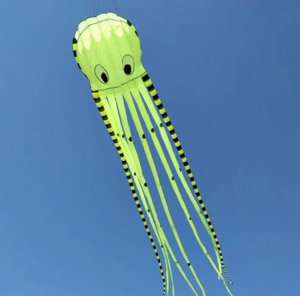 Huge Inflatable Octopus Outdoor Kite Sports for Adults and Kids Four Colors - Buy Confidently with Smart Sales Australia