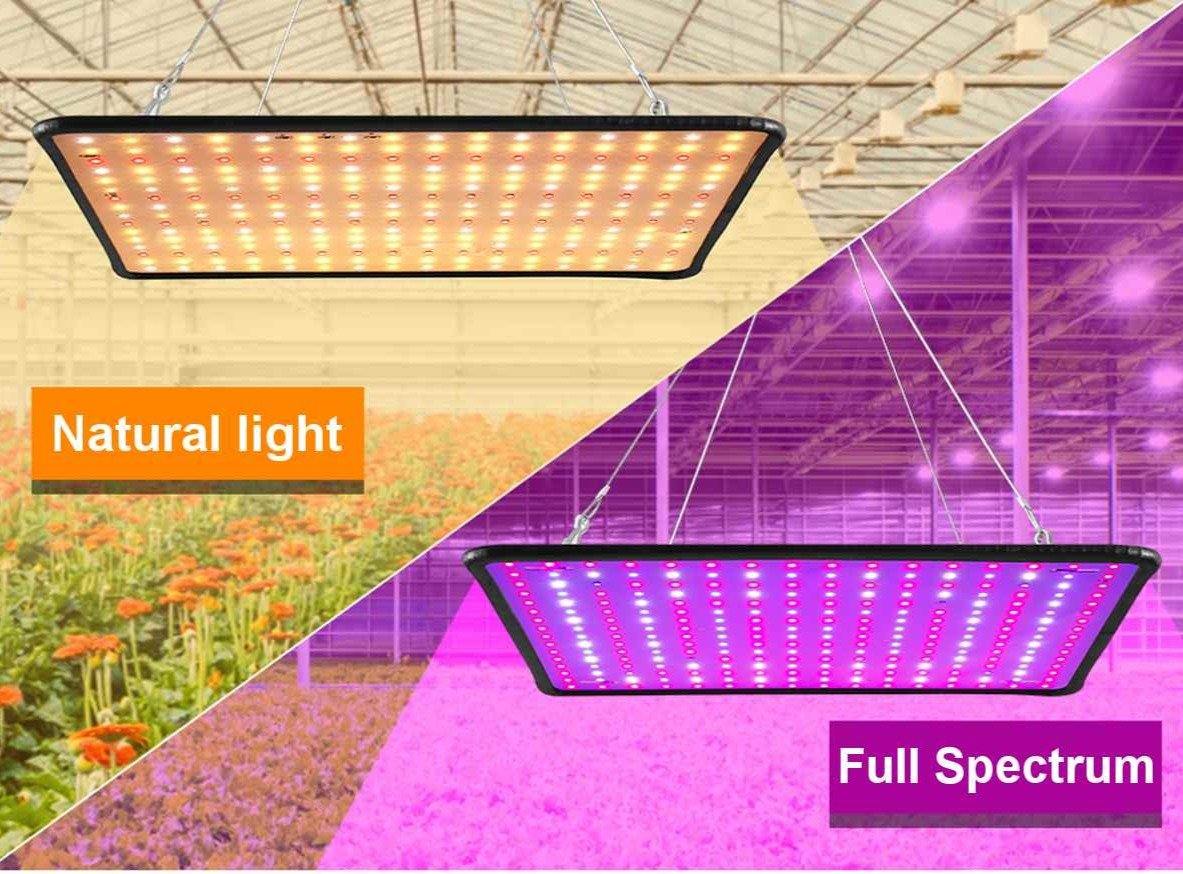 Sunmaster Led Buy Indoor LED Full Spectrum Plant Growing Light For Hydroponics ...