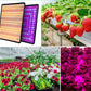 Indoor LED Full Spectrum Plant Growing Light For Hydroponics, Vegetables, and Flowering Plants - Buy Confidently with Smart Sales Australia
