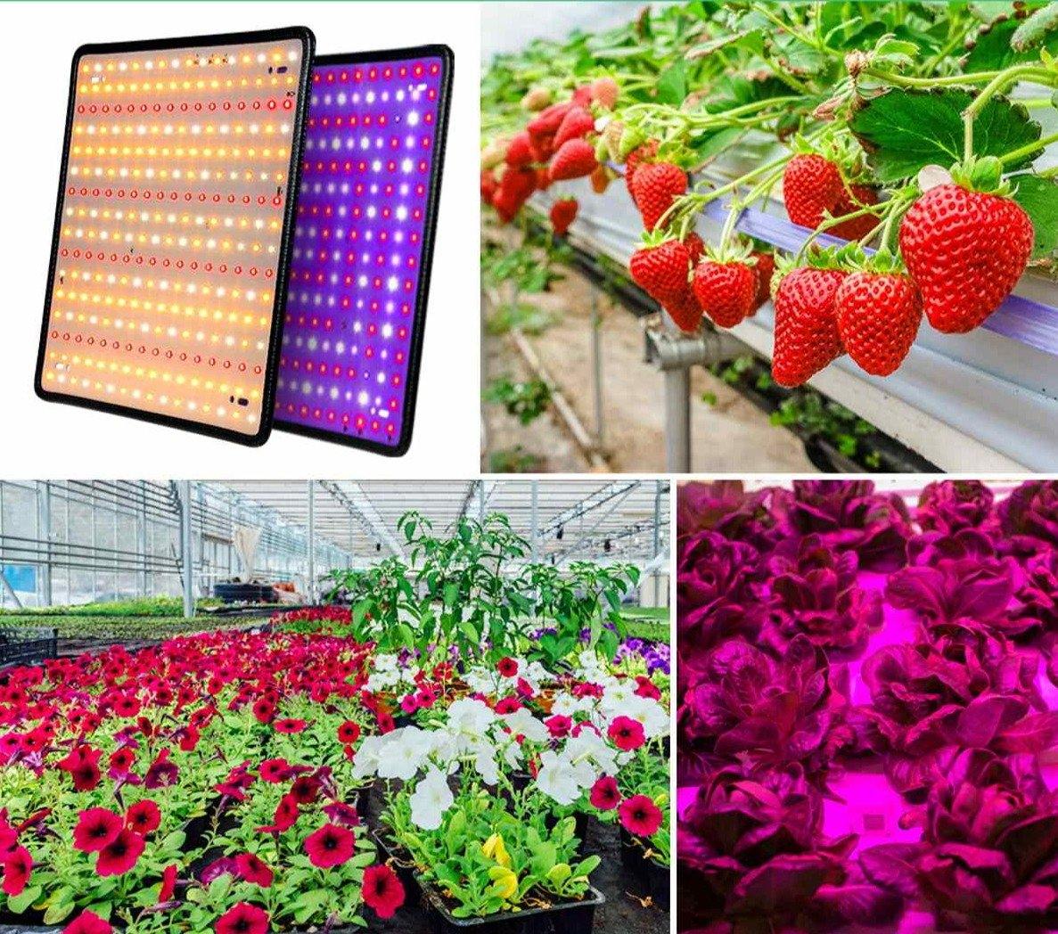 Indoor LED Full Spectrum Plant Growing Light For Hydroponics, Vegetables, and Flowering Plants - Buy Confidently with Smart Sales Australia