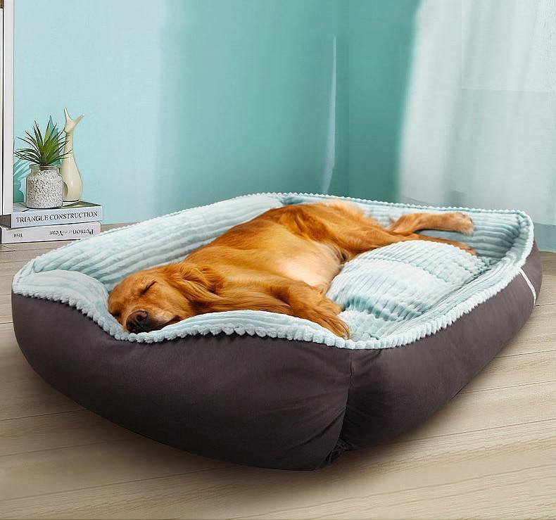 Labrador’s Calming and Soft Bed For Pet Dogs in Different Sizes - Buy Confidently with Smart Sales Australia