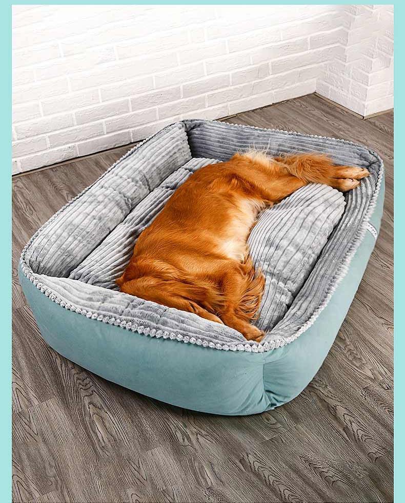 Labrador’s Calming and Soft Bed For Pet Dogs in Different Sizes - Buy Confidently with Smart Sales Australia