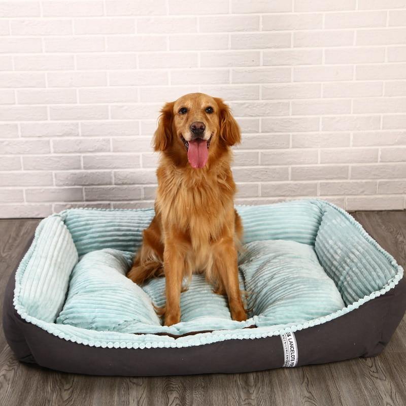 Labrador’s Calming and Soft Bed For Pet Dogs in Different Sizes - Buy Confidently with Smart Sales Australia