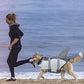 Lifesaver Shark Shaped Vests with Rescue Handle for Dogs Outdoor Pet Safety - Buy Confidently with Smart Sales Australia