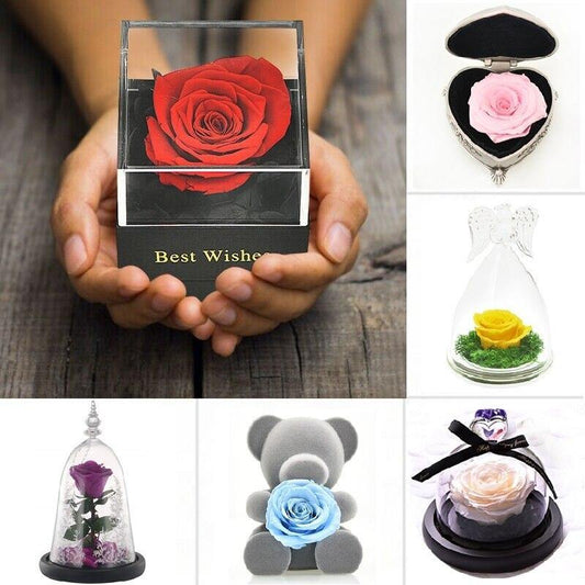 Lovely Real Rose Preserved Artificial Flower Gift For Your Wife and Girlfriend - Buy Confidently with Smart Sales Australia