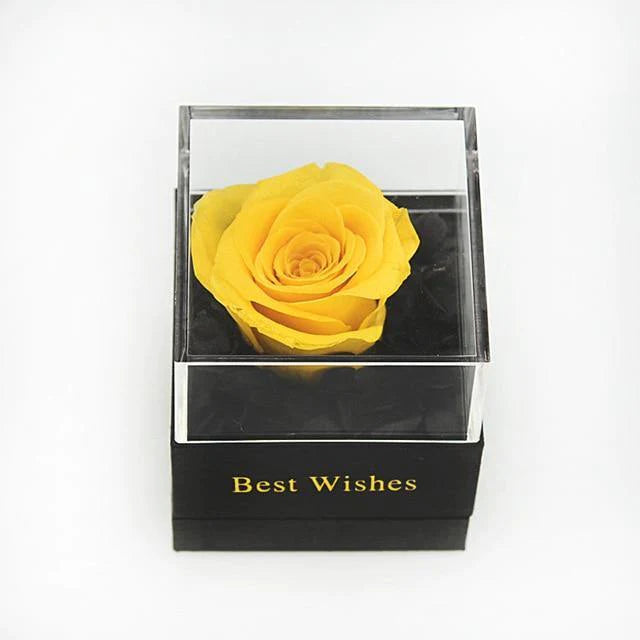Lovely Real Rose Preserved Artificial Flower Gift For Your Wife and Girlfriend - Buy Confidently with Smart Sales Australia