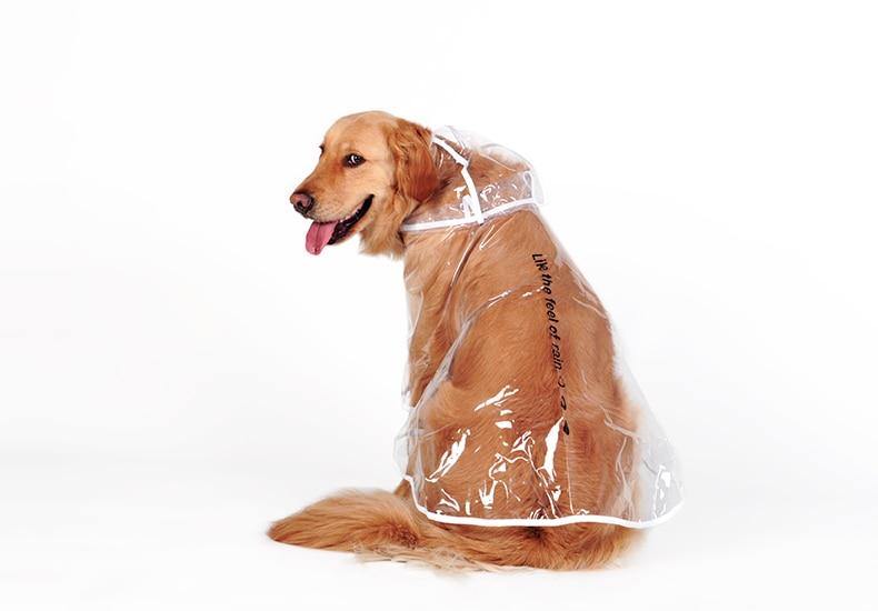 Medium-Sized Water-Resistant Raincoat Clothing for Dogs - Buy Confidently with Smart Sales Australia