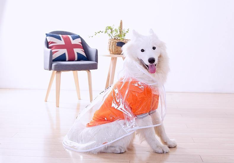 Medium-Sized Water-Resistant Raincoat Clothing for Dogs - Buy Confidently with Smart Sales Australia