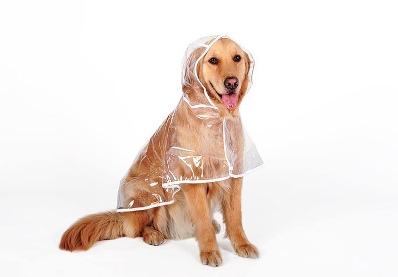 Medium-Sized Water-Resistant Raincoat Clothing for Dogs - Buy Confidently with Smart Sales Australia