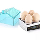 Mini 4 Egg Hatchery Incubator Machine Tool For Kids - Buy Confidently with Smart Sales Australia