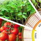 Samsung Dimmable Phyto Lamp Full Spectrum LED Grow Light For Indoor Gardening - Buy Confidently with Smart Sales Australia