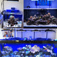 Smart Adjustable Waterproof Aquarium LED Lamps - Buy Confidently with Smart Sales Australia