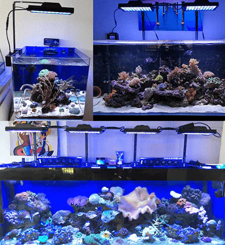 Smart Adjustable Waterproof Aquarium LED Lamps - Buy Confidently with Smart Sales Australia