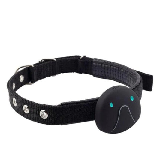 Smart and Waterproof Anti-Lost Pet Collar with Real-Time GPS Tracker - Buy Confidently with Smart Sales Australia