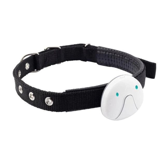 Smart and Waterproof Anti-Lost Pet Collar with Real-Time GPS Tracker - Buy Confidently with Smart Sales Australia