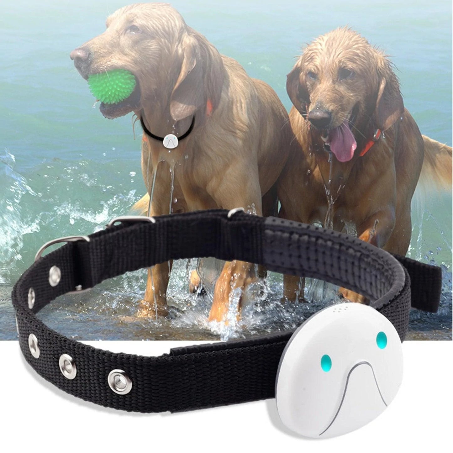 Smart and Waterproof Anti-Lost Pet Collar with Real-Time GPS Tracker - Buy Confidently with Smart Sales Australia