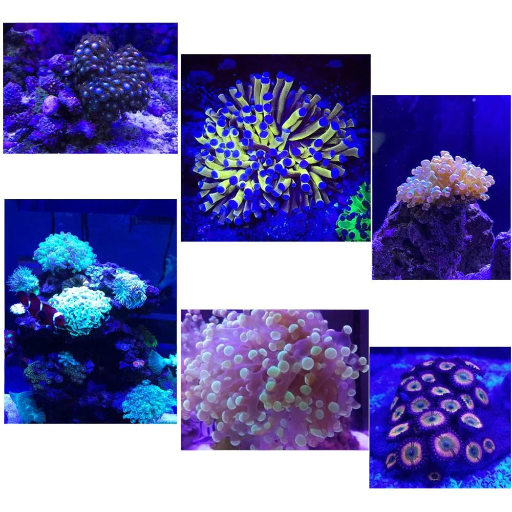 Smart Remote Controlled Aluminum LED Lighting for Coral Fish Tanks - Buy Confidently with Smart Sales Australia