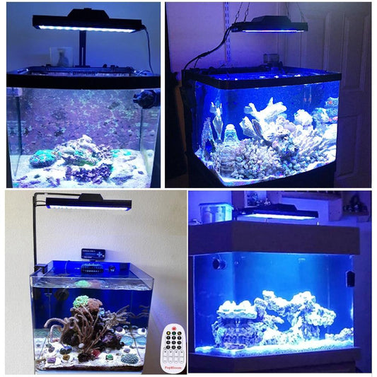 Vibrant LED Lamp Lights For Aquarium/Fish Tank Lighting with Remote - Buy Confidently with Smart Sales Australia