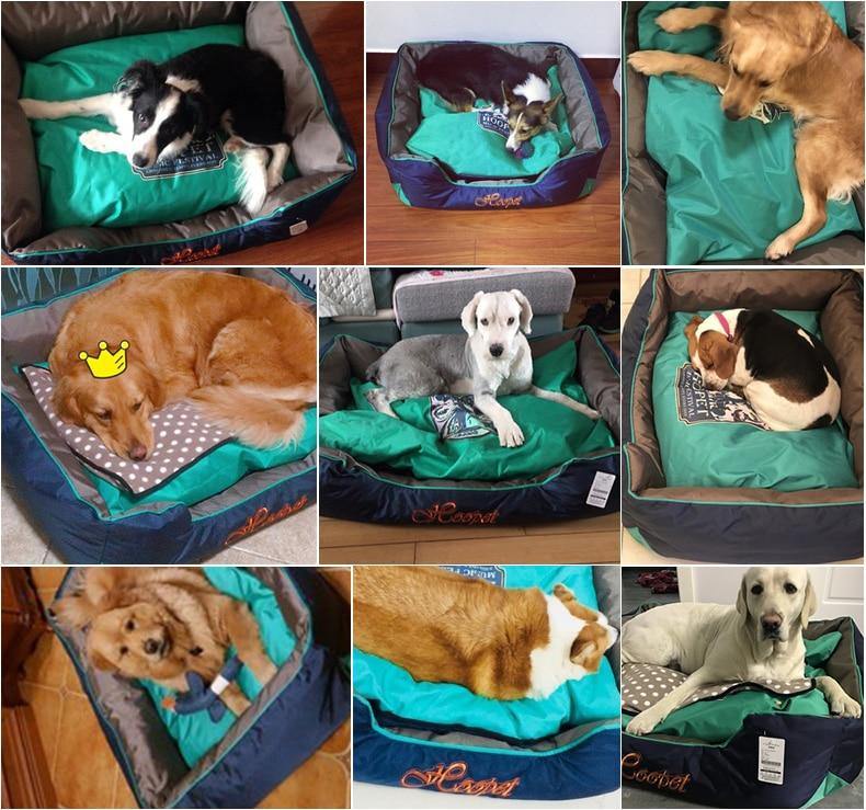 Water-Resistant Printed Cartoon Bed for Big Dogs - Buy Confidently with Smart Sales Australia
